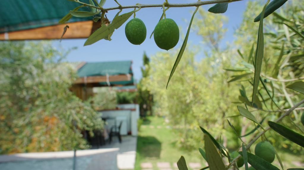 Agriturismo Tres Montes Sorso Exterior foto